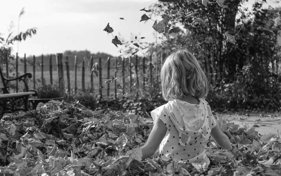 Our garden wall is dangerous but we can’t contact our neighbour